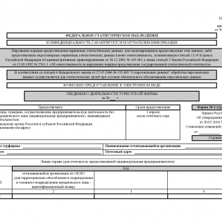 Форма 1-турфирма. Сведения о деятельности туристской фирмы