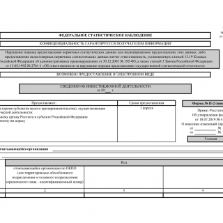Форма П-2 (инвест). Сведения об инвестиционной деятельности