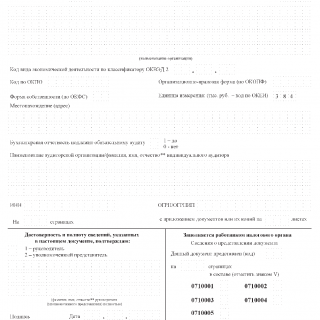 Бухгалтерская (финансовая) отчетность КНД 0710099