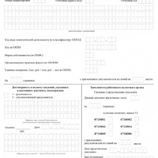 Бухгалтерская (финансовая) отчетность КНД 0710099