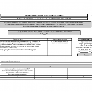 Форма 4-ТЭР. Сведения об использовании топливно-энергетических ресурсов
