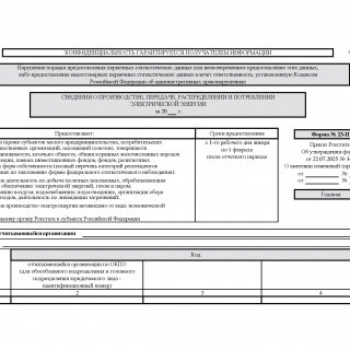 Форма № 23-Н. Сведения о производстве, передаче, распределении и потреблении электрической энергии