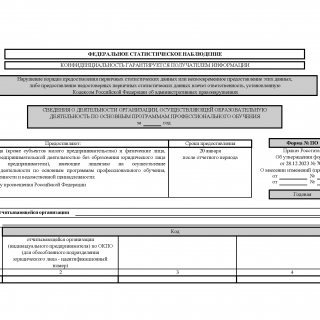 Форма ПО. Сведения о деятельности организации, осуществляющей образовательную деятельность по основным программам профессионального обучения от 28.12.2023 N 701
