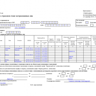 Образец заполнения формы СЗВ-СТАЖ за 2019 год