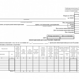 Акт инвентаризации расходов будущих периодов. Форма ИНВ-11 