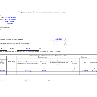 Образец заполнения Форма СЗВ-ТД 2020 год