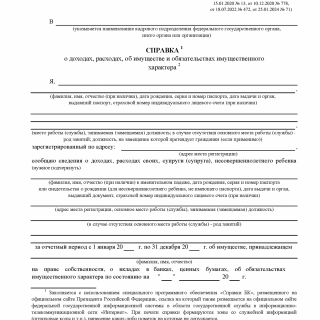 Справка о доходах, расходах и имуществе: бланки и порядок заполнения