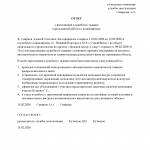Отчет о выполнении служебного задания (проделанной работе) в командировке